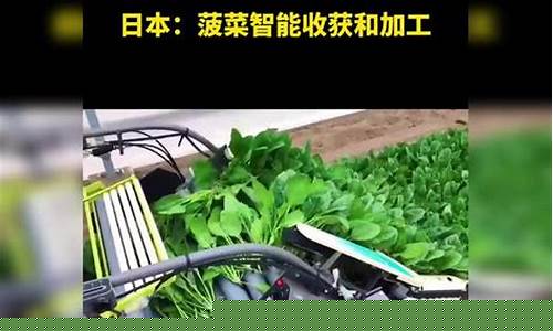 菠菜体育官方导航：菠菜信息技术(菠菜技术