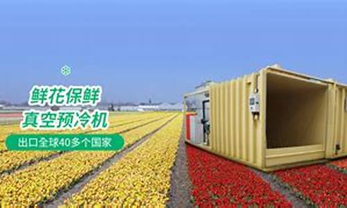 菠菜信用盘：最新最全白菜网(白菜网平台排