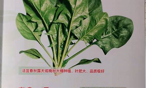 菠菜公司排名(世界菠菜公司大全) (7)