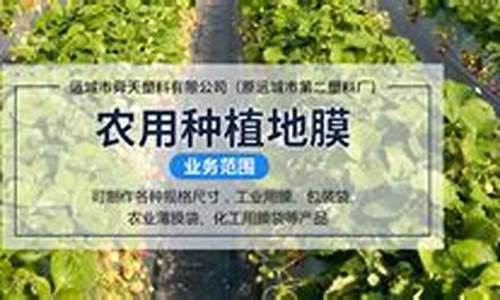 菠菜体育官方导航：专业菠菜导航官网(菠菜