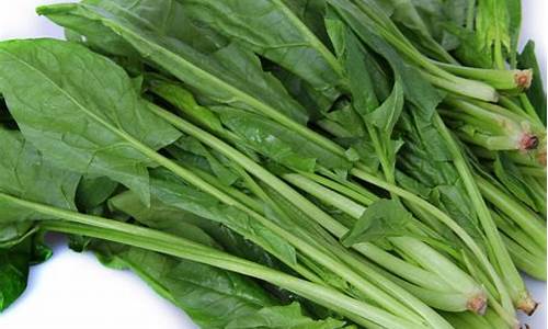 线上菠菜直营：菠菜大全(菠菜大全最新) 